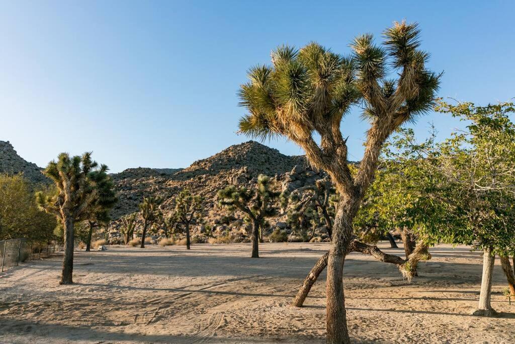 The Way Out Ranch. Escape To Solitude On 2.5 Acres Villa Joshua Tree Eksteriør billede