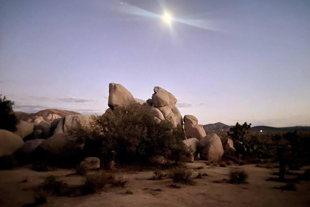 The Way Out Ranch. Escape To Solitude On 2.5 Acres Villa Joshua Tree Eksteriør billede