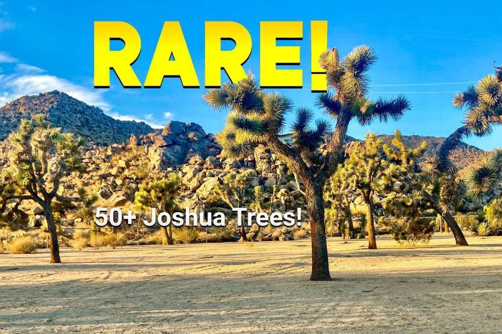 The Way Out Ranch. Escape To Solitude On 2.5 Acres Villa Joshua Tree Eksteriør billede