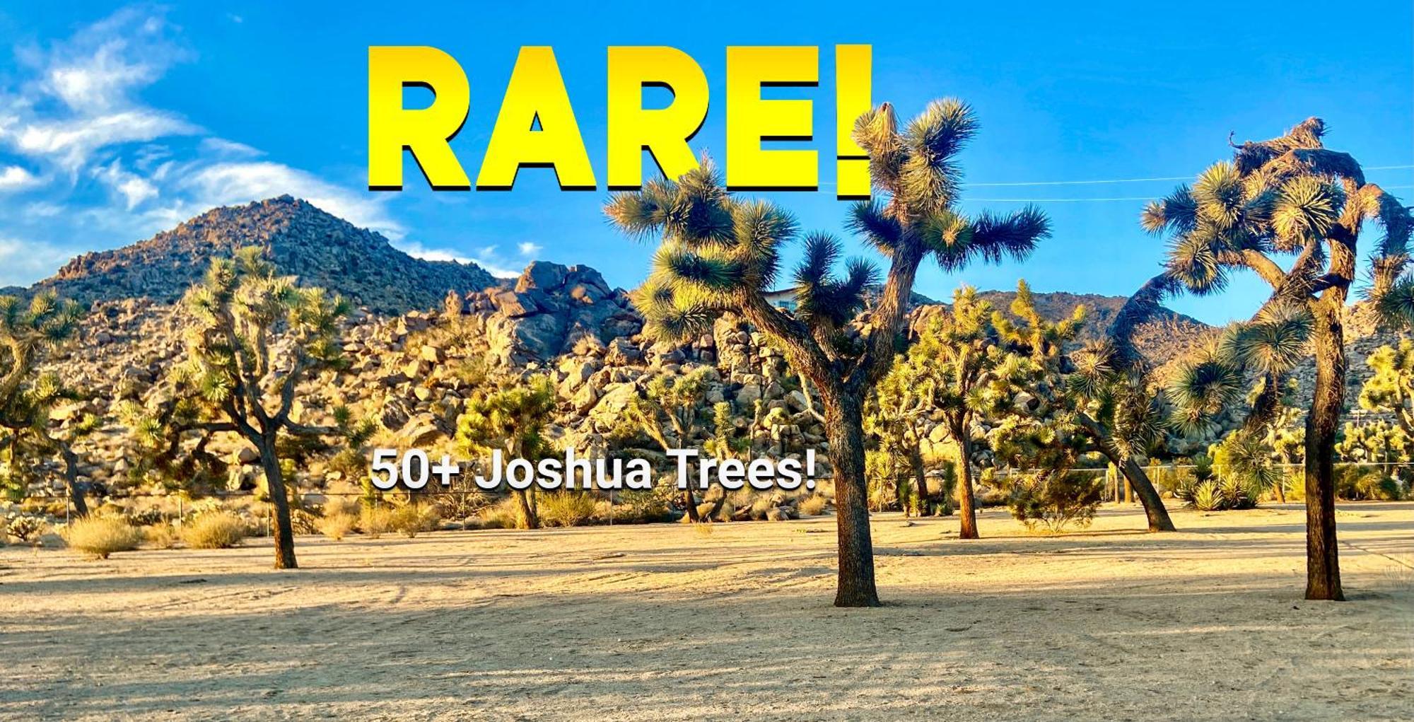 Epic Views, Huge House, Acres Of J-Trees To Explore, Hot Tub, Pool, Ac, And Mini-Golf Joshua Tree Eksteriør billede